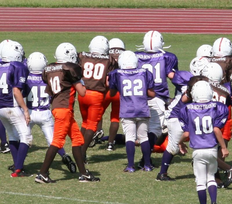 2008 PSLAA Ravens