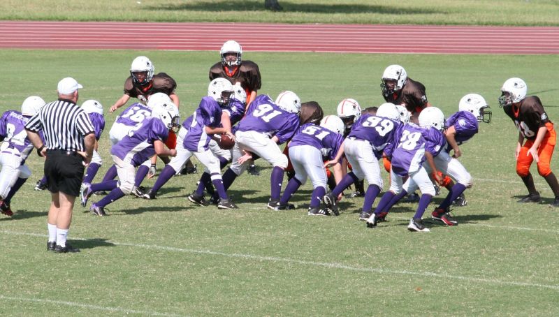 2008 PSLAA Ravens