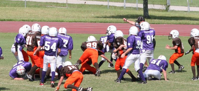 2008 PSLAA Ravens