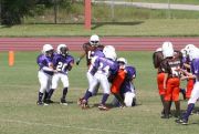 2008 PSLAA Ravens