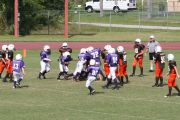 2008 PSLAA Ravens