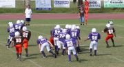 2008 PSLAA Ravens