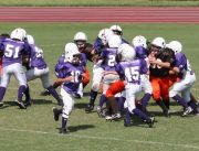 2008 PSLAA Ravens