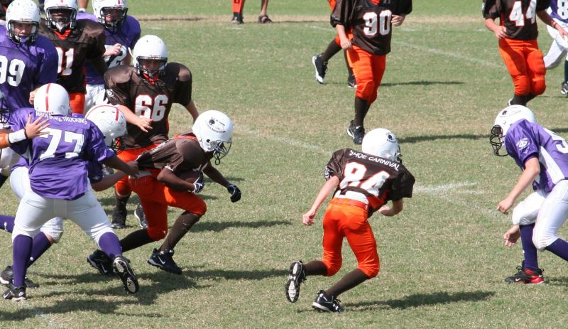 2008 PSLAA Ravens