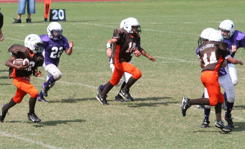 2008 PSLAA Ravens