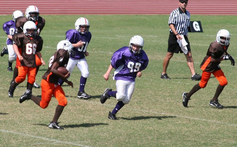 2008 PSLAA Ravens