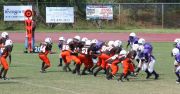 2008 PSLAA Ravens