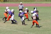 2008 PSLAA Ravens