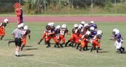 2008 PSLAA Ravens