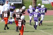 2008 PSLAA Ravens