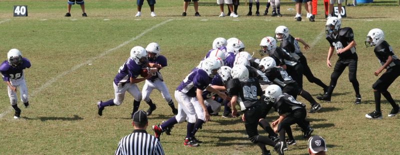 2008 PSLAA Ravens