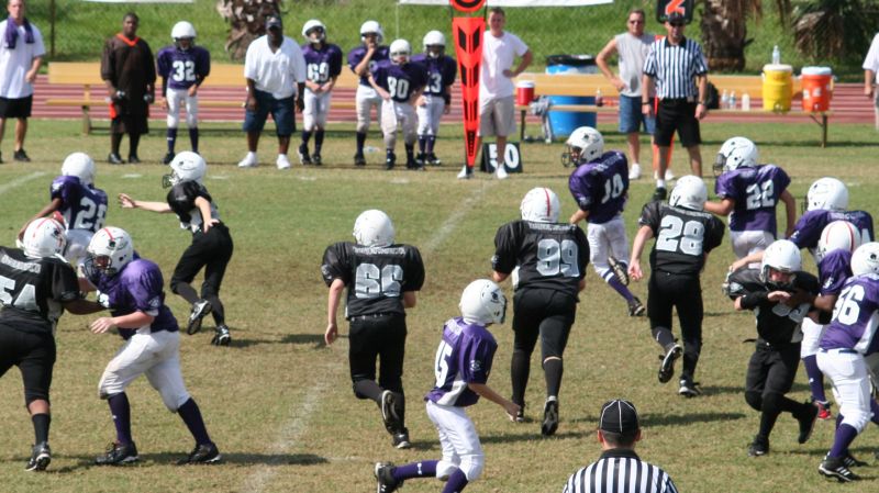 2008 PSLAA Ravens