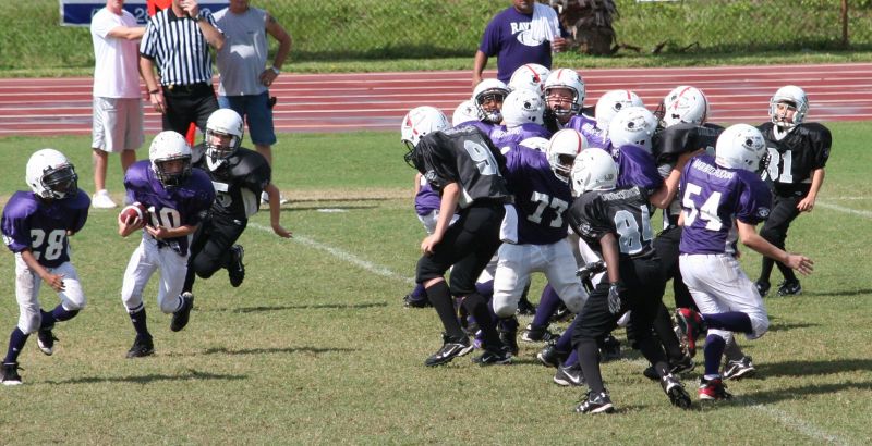 2008 PSLAA Ravens