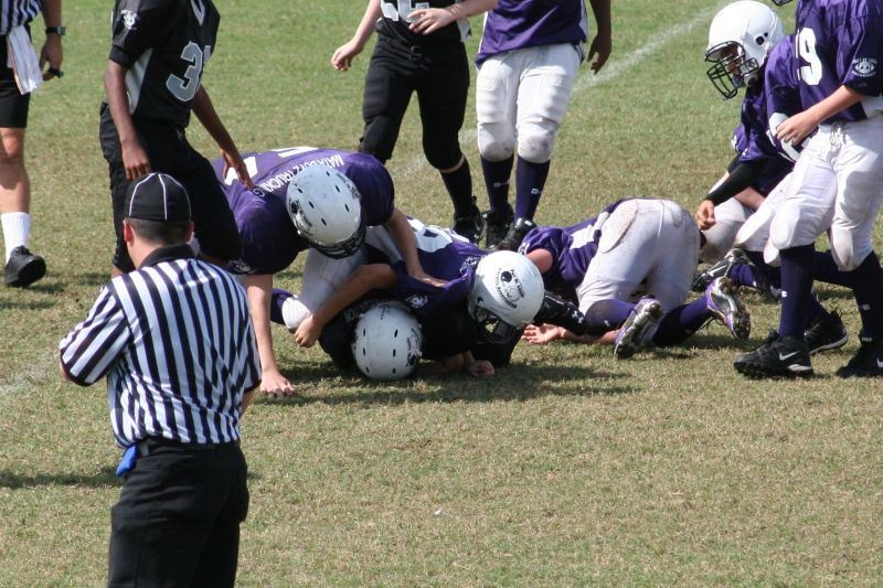 2008 PSLAA Ravens