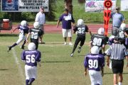 2008 PSLAA Ravens