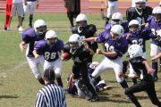 2008 PSLAA Ravens