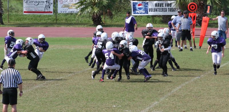 2008 PSLAA Ravens