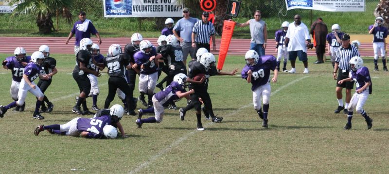 2008 PSLAA Ravens