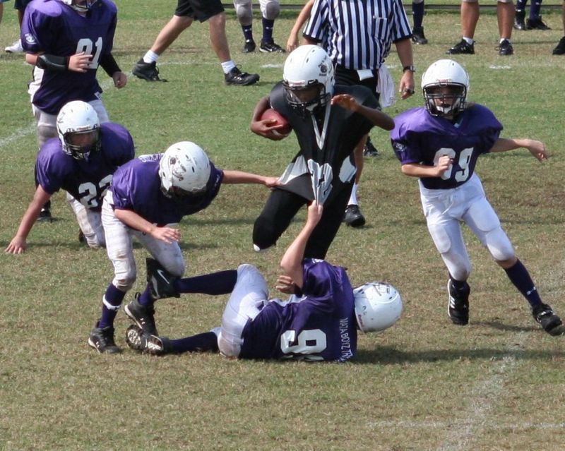 2008 PSLAA Ravens