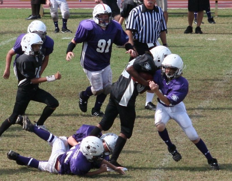 2008 PSLAA Ravens