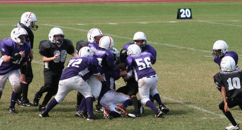 2008 PSLAA Ravens