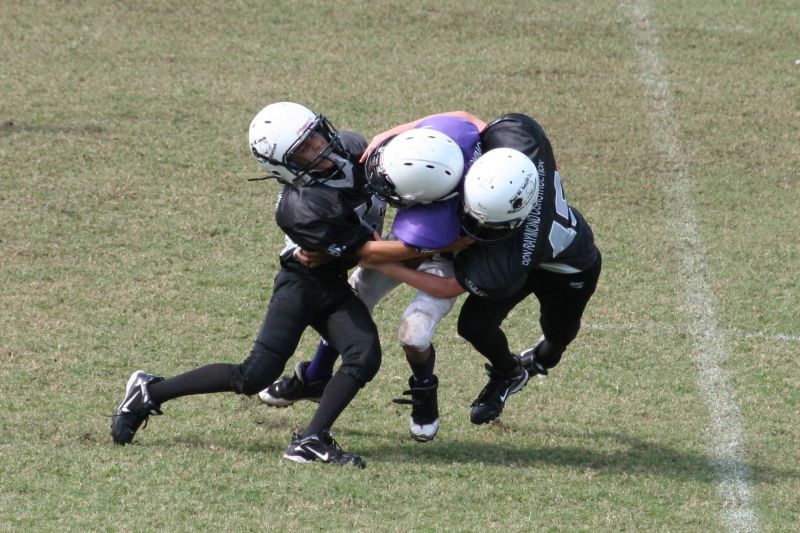 2008 PSLAA Ravens