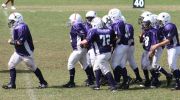 2008 PSLAA Ravens