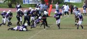 2008 PSLAA Ravens