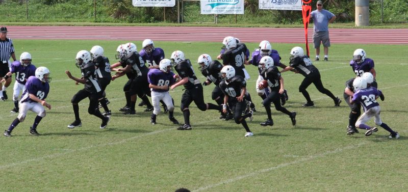 2008 PSLAA Ravens