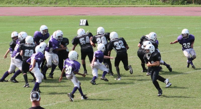 2008 PSLAA Ravens