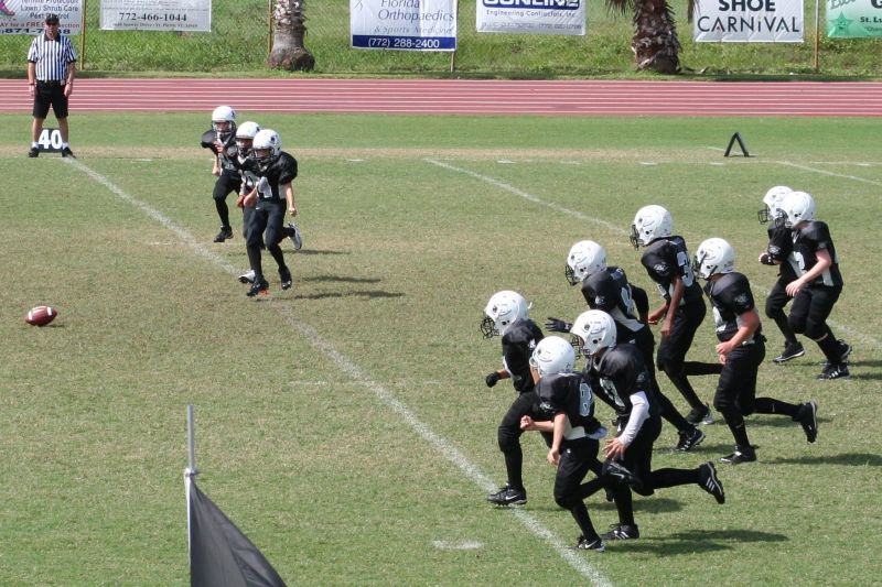 2008 PSLAA Ravens