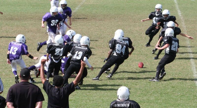 2008 PSLAA Ravens