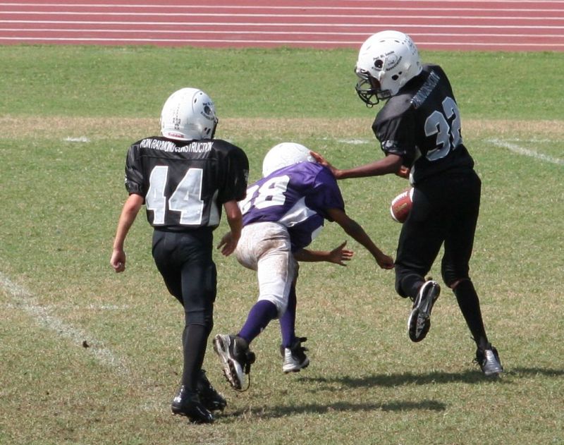 2008 PSLAA Ravens