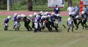 2008 PSLAA Ravens