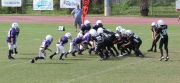 2008 PSLAA Ravens