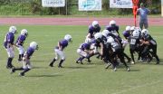 2008 PSLAA Ravens