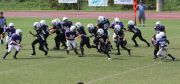 2008 PSLAA Ravens