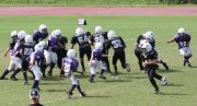 2008 PSLAA Ravens