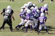 2008 PSLAA Ravens