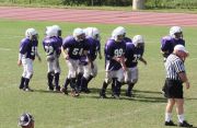 2008 PSLAA Ravens