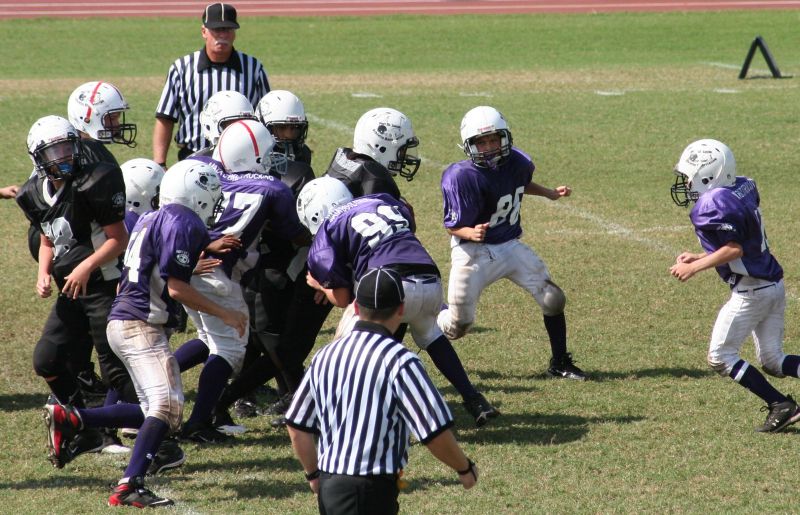 2008 PSLAA Ravens