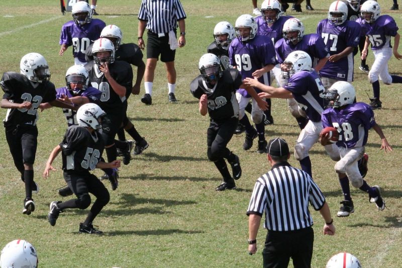 2008 PSLAA Ravens