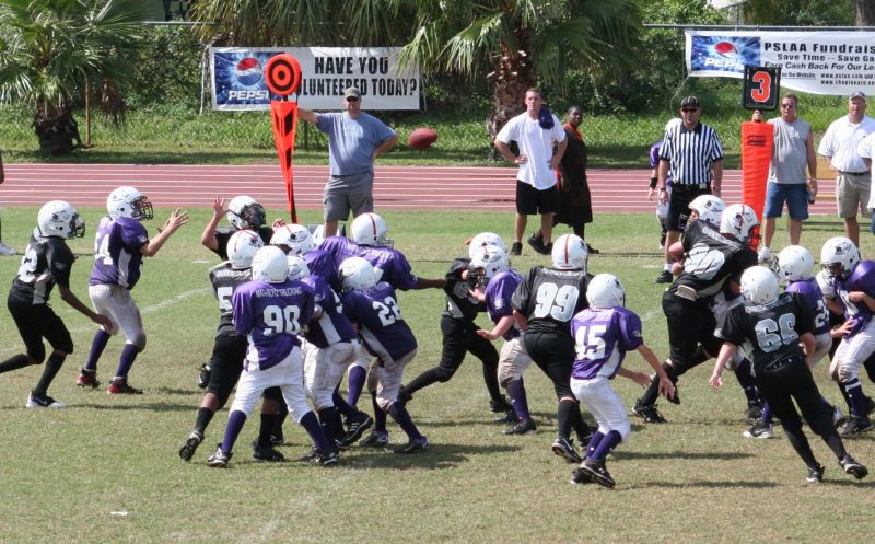 2008 PSLAA Ravens