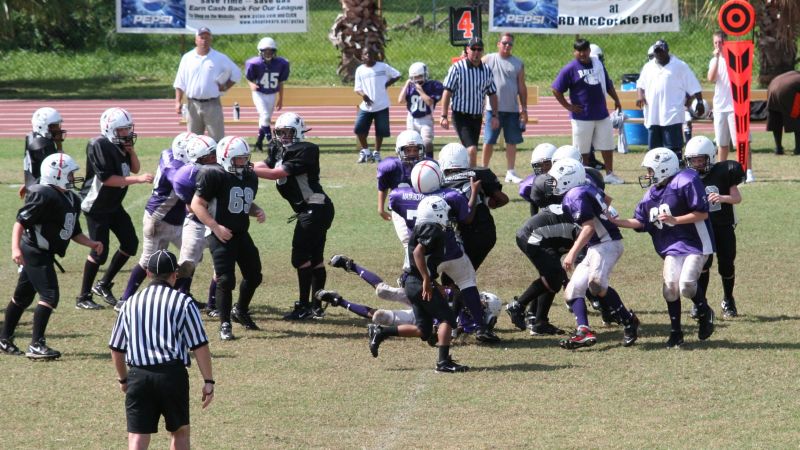 2008 PSLAA Ravens