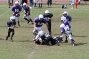 2008 PSLAA Ravens