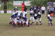 2008 PSLAA Ravens