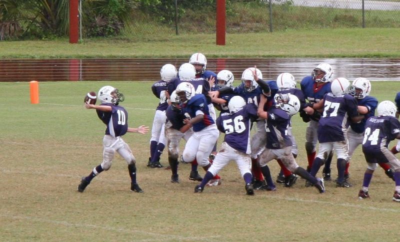 2008 PSLAA Ravens