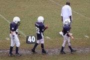 2008 PSLAA Ravens