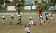 2008 PSLAA Ravens