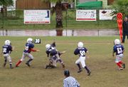 2008 PSLAA Ravens